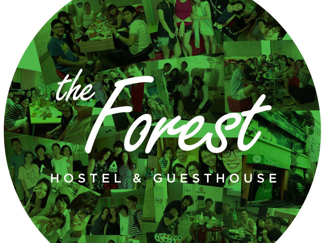 The Forest Hostel Jeju Exteriör bild